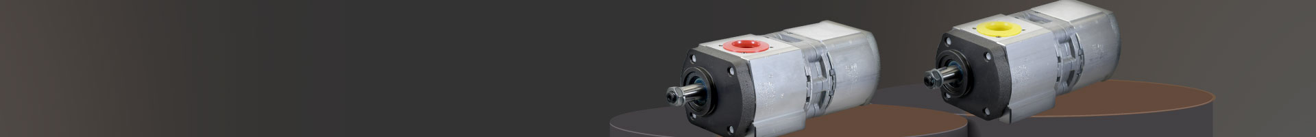 Hydraulic Pump Cat Banner
